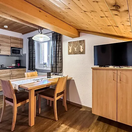Appartements Bergfried - Inklusive Sommerkarte, Zentral Mit Ausblick Ueber Kaprun, Ski In Ski Out Kaprun