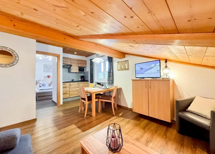 Daire Appartements Bergfried - Ski In Ski Out, Inklusive Sommerkarte, Zentral Mit Ausblick Ueber Kaprun Kaprun