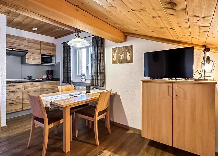 Appartements Bergfried - Ski In Ski Out, Inklusive Sommerkarte, Zentral Mit Ausblick Ueber Kaprun קפרון